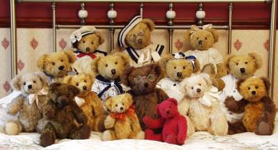 Meet The Bears